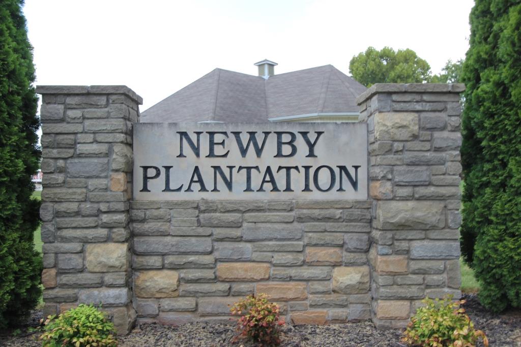 Subdivision photo