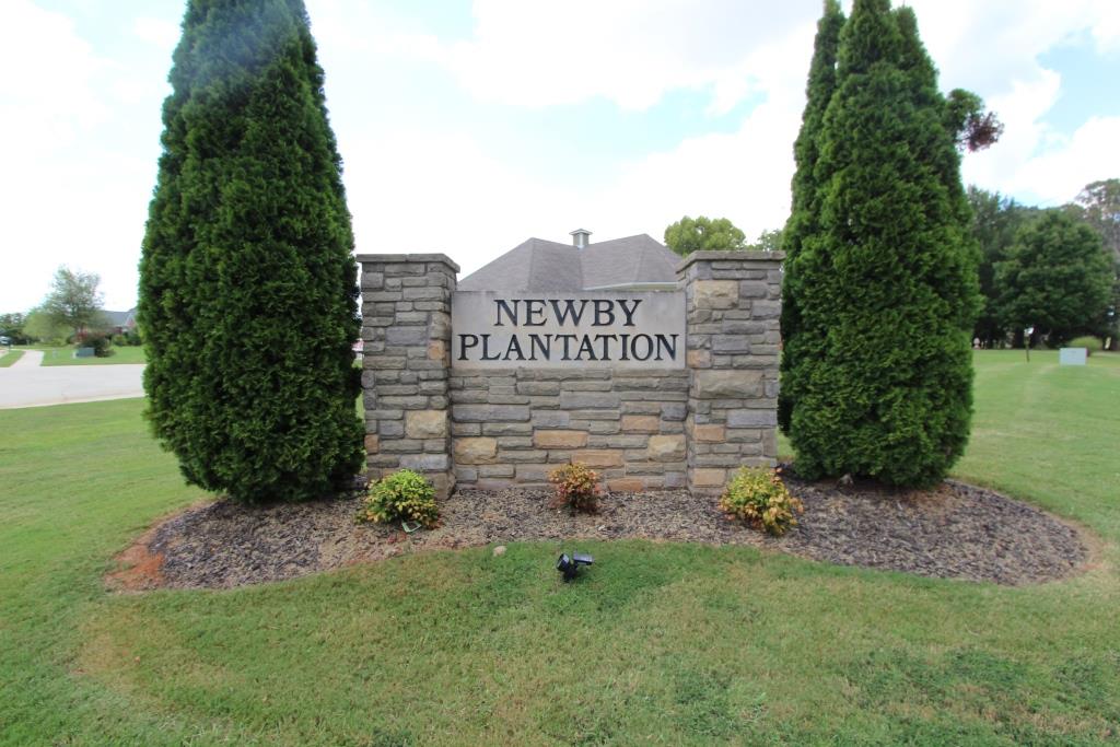 Subdivision photo